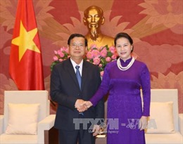 Củng cố mối quan hệ truyền thống lâu đời của hai nước Việt Nam - Lào