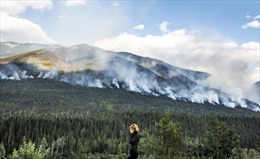Cháy rừng lớn chưa từng thấy tại tỉnh British Columbia của Canada