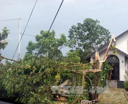 Lốc xoáy mạnh xuất hiện bất ngờ gây nhiều thiệt hại tại Lào Cai