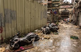 Bão Hato gây thiệt hại lớn tại Trung Quốc