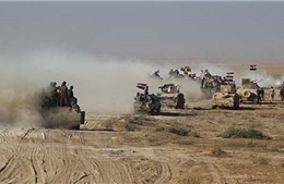  Quân đội Iraq tiến vào thành trì cuối cùng của IS ở Tây Bắc