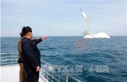 Truyền thông Nhật Bản: Triều Tiên có thể đang phát triển SLBM mới