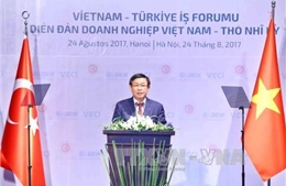 Tăng cường hợp tác kinh tế Việt Nam - Thổ Nhĩ Kỳ 