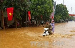 Mưa lớn gây ngập cục bộ tại Tuyên Quang 