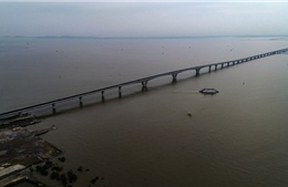 Khám phá ‘đường hầm’ đặc biệt tại cầu vượt biển dài nhất Việt Nam