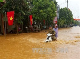 Tuyên Quang: Hơn 100 nhà bị ngập và hàng trăm ha lúa, hoa màu bị vùi lấp