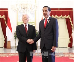 Tổng Bí thư kết thúc chuyến thăm chính thức Indonesia và thăm cấp nhà nước Myanmar