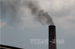 Nam Định: Xử phạt một công ty xả khí thải ô nhiễm ra môi trường