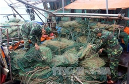 Quảng Ninh cấm sử dụng lồng bát quái đánh bắt thủy sản từ 1/1/2018 