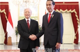 Việt Nam với Indonesia và Myanmar: Chân thành hợp tác 