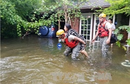 Tổng thống Donald Trump tuyên bố tình trạng khẩn cấp do bão tại bang Louisiana 