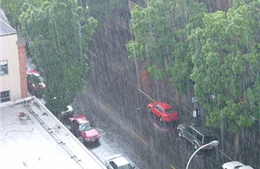 Thời tiết ngày 29/8: Nhiều vùng trên cả nước có mưa rào và dông