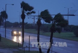 Bang Texas tổng động viên 12.000 vệ binh quốc gia đối phó bão Harvey
