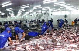 Doanh nghiệp vẫn lạc quan khi Mỹ kiểm tra cá tra Việt Nam
