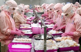 Châu Á sẽ là thị trường tiêu thụ mới nổi của ngành tôm Việt Nam 