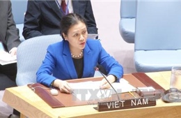 Việt Nam sẽ tiếp tục tích cực tham gia các hoạt động gìn giữ hòa bình của LHQ 