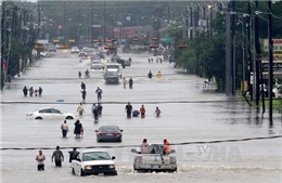 Hồi chuông cảnh báo từ siêu bão Harvey 