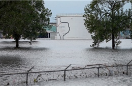 Mỹ: Nổ tại nhà máy hóa chất bị ngập nước do bão Harvey