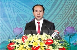 Chủ tịch nước trả lời phỏng vấn báo chí nhân 40 năm Việt Nam gia nhập Liên hợp quốc