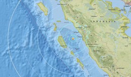 Động đất mạnh tại Indonesia và Mỹ