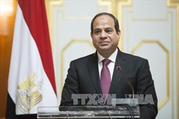 Tổng thống nước Cộng hòa Ả-rập Ai Cập sắp thăm cấp Nhà nước tới Việt Nam 