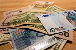 &#39;Điểm sáng&#39; euro trên thị trường tiền tệ thế giới