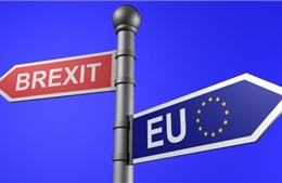  EU đặt điều kiện đàm phán thương mại với Anh  