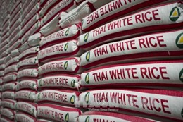 Thái Lan giữ vững vị trí số 1 thế giới về xuất khẩu gạo