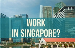 Lao động diện nào mới được làm việc tại Singapore?