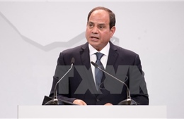 Hợp tác kinh tế Ai Cập-Trung Quốc sẽ được mở rộng trong tương lai gần