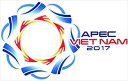 APEC 2017: Nâng cao sức cạnh tranh, sáng tạo của doanh nghiệp nhỏ và vừa 