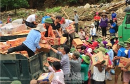 Chính phủ ban hành kế hoạch ứng phó sự cố, thiên tai 