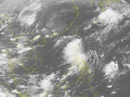 Các tỉnh ven biển từ Quảng Ninh đến Phú Yên chủ động ứng phó với áp thấp nhiệt đới 
