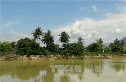 Ninh Thuận: Ba người mất tích khi đi xe bò qua sông Cái