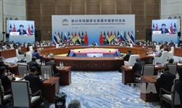 BRICS vượt qua khác biệt nhằm đương đầu với thách thức 