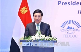 Cơ hội nâng cao hợp tác Việt Nam – Ai Cập 