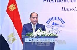 Tổng thống Ai Cập kết thúc chuyến thăm Việt Nam