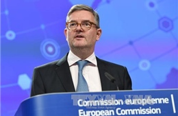 EU cảnh báo 'nguy cơ hiện hữu' IS tài trợ hoạt động khủng bố tại châu Âu