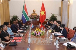  Phó Thủ tướng Phạm Bình Minh hội đàm với Bộ trưởng Ngoại giao và Hợp tác CH Nam Phi