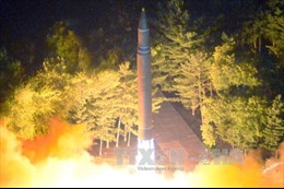 Vụ thử hạt nhân của Triều Tiên: Pháp, Mỹ, Nhật Bản kêu gọi quốc tế có phản ứng kiên quyết