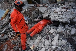 Ít nhất 90 người đã thiệt mạng trong trận động đất &#39;thế kỷ&#39; tại Mexico