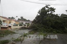 Siêu bão Irma tiếp tục tiến dần vào đất liền bang Florida
