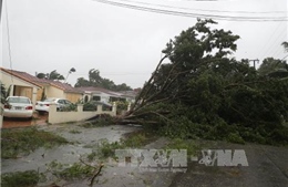 Bão Irma quét qua các thành phố lớn bang Florida 