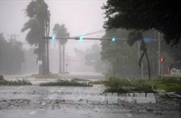 Bão Irma suy yếu nhưng vẫn đáng lo ngại