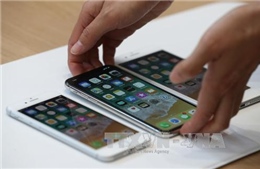 Ra mắt iPhone X, giá trị vốn hóa thị trường của Apple vọt lên 830 tỷ USD 