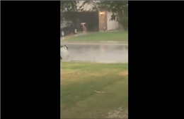 Hình ảnh lạ về người phụ nữ rửa ô tô giữa trời mưa bão