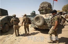 Khả năng IS tiếp tục duy trì hậu 'Vương quốc Hồi giáo'