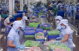 Vasep phản đối mức thuế chống bán phá giá đối với cá tra của Việt Nam
