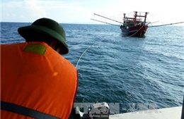 Một ngư dân bị chấn thương sọ não khi câu mực gần đảo Thổ Chu 