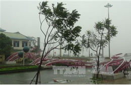 Những hình ảnh về sức tàn phá của cơn bão số 10